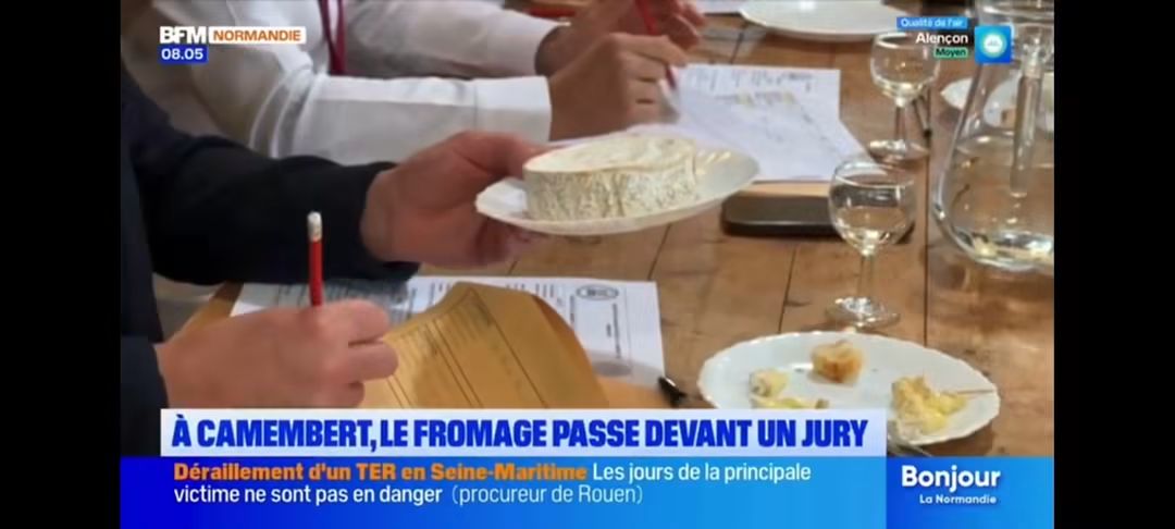 Jury members tasting and scoring Camembert cheese during the judging session
